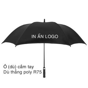 Dù cầm tay - thẳng 
